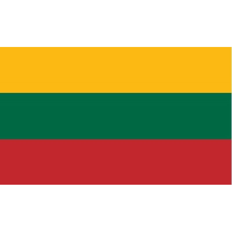 Lietuvas valsts karogs, 100 x 170 cm, no bieza auduma